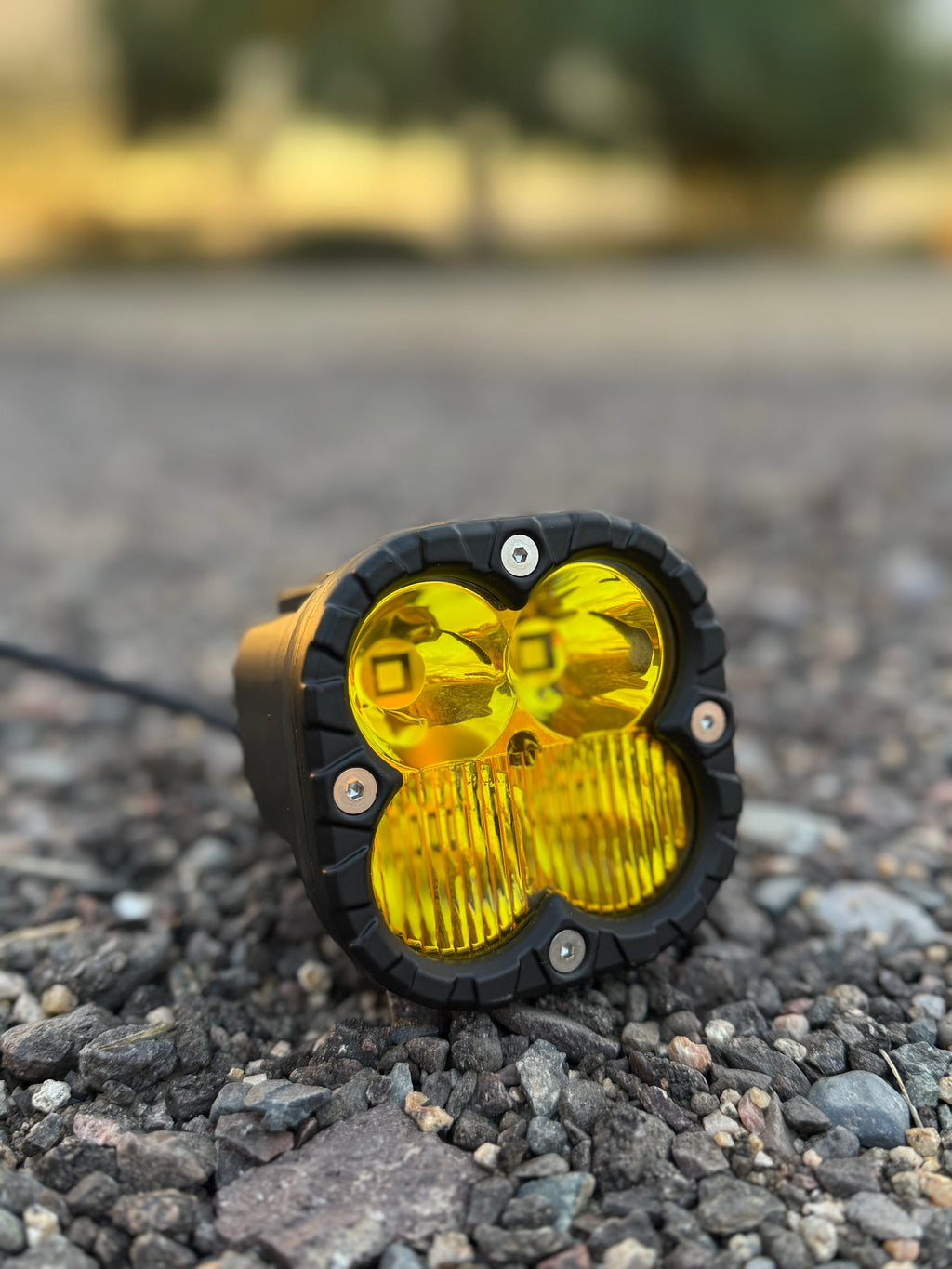 RI-3 Pods Amber